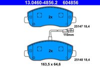 desky brzdové NISSAN, OPEL, RENAULT, pn 13.0460-4856.2