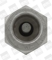 svíčka žhavící WEBASTO 12V GH847