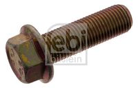 šroub brzdového kotouče MB M14x1,5x45 -10.9 02579