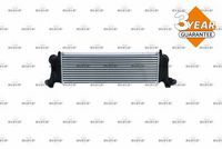 chladič vzduchový IVECO Daily 30342