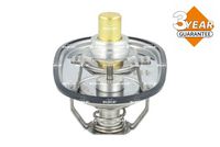 termostat SCANIA 725482