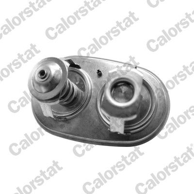 termostat SCANIA TH7540.80.87J