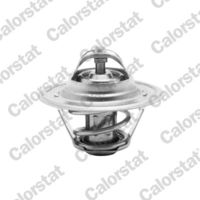 termostat AUDI, SEAT, VW TH6276.87J