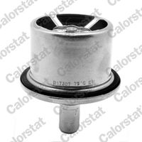 termostat DAF 95XF/105XF 87°C THS19099.87