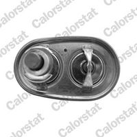 termostat SCANIA TH7540.80.87J