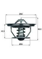 termostat IVECO/SCANIA 4 80°C TX3579