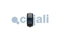 spínač diferenciálu SCANIA 2264025