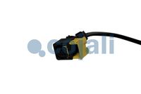 visko spojka RVI T 7023413