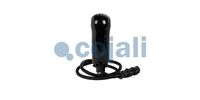 hlavice řazení MAN 2880267