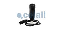 hlavice řazení MAN 2880267