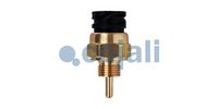 senzor teploty vody MAN 2262116